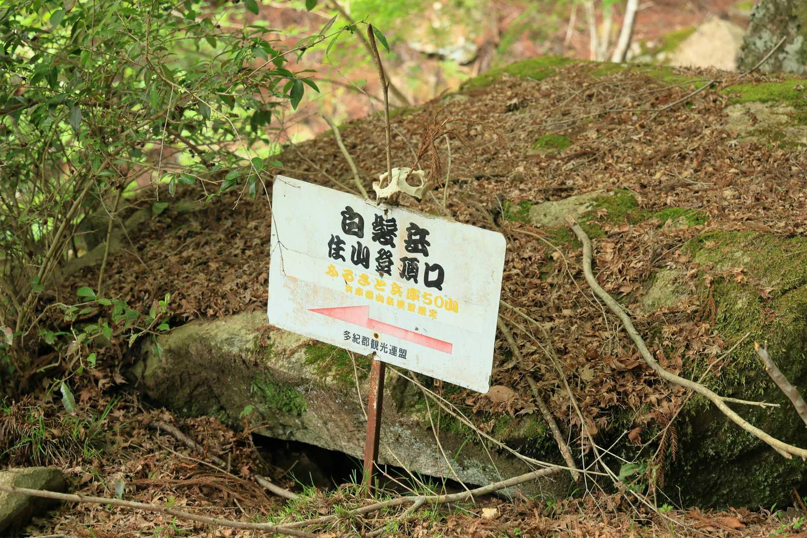 古市駅から約一時間でやっと登山口
あれ何の骨やろ💀