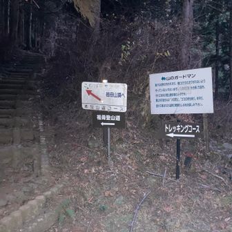 トレッキングコースからのスタート