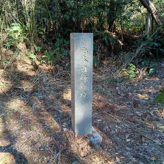 元春日神社址の石碑で行き止まりに見えましたが、YAMAPでのピークは少し先。右側に薄〜く踏跡っぽいのがあるので辿っていくと、
