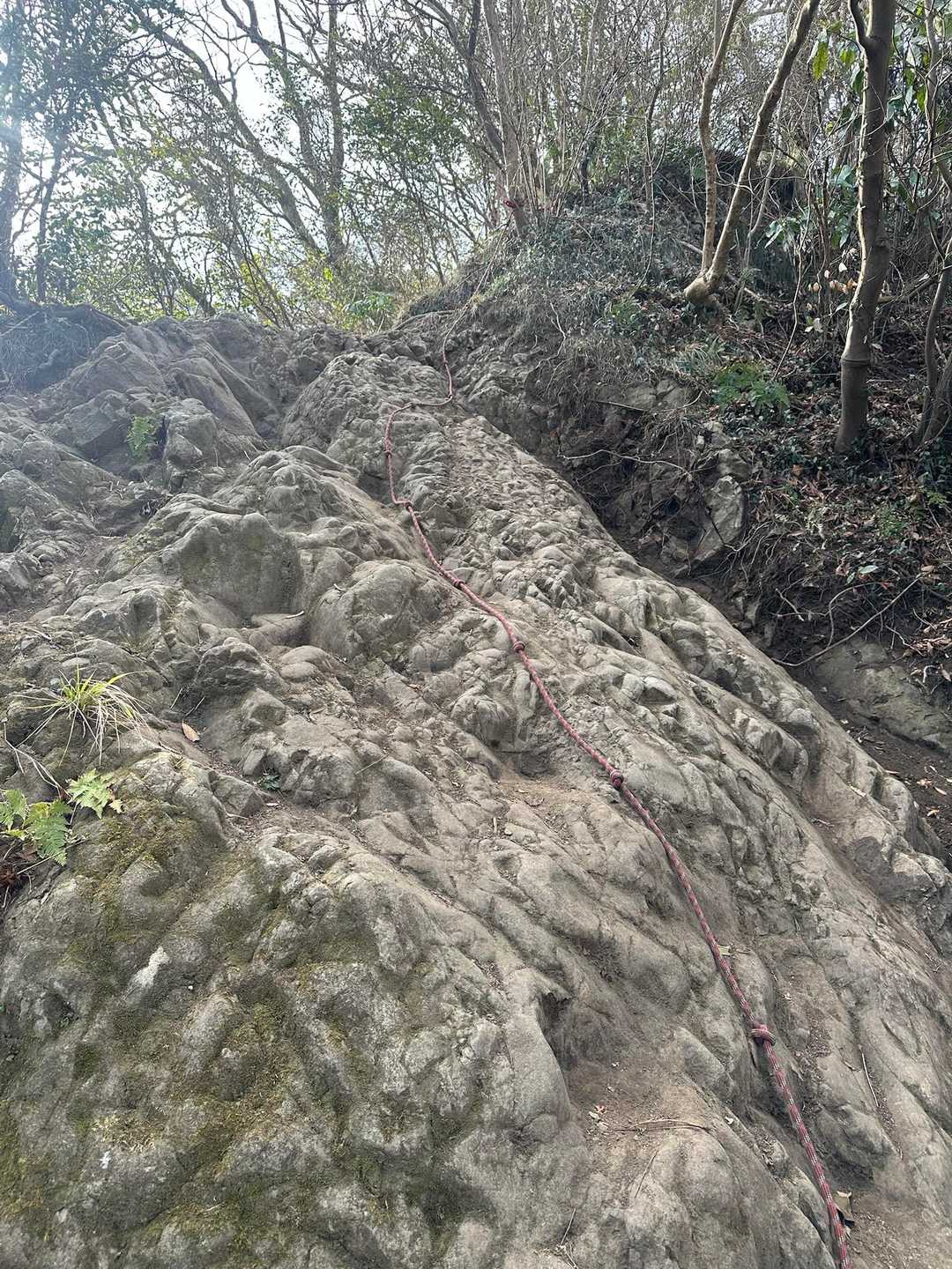 岩岩も