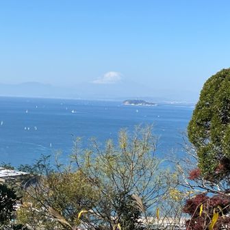 てか眺め最高！江ノ島の奥に富士山🗻😍