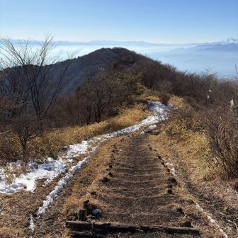 見えた！鍋割山だ🏔️