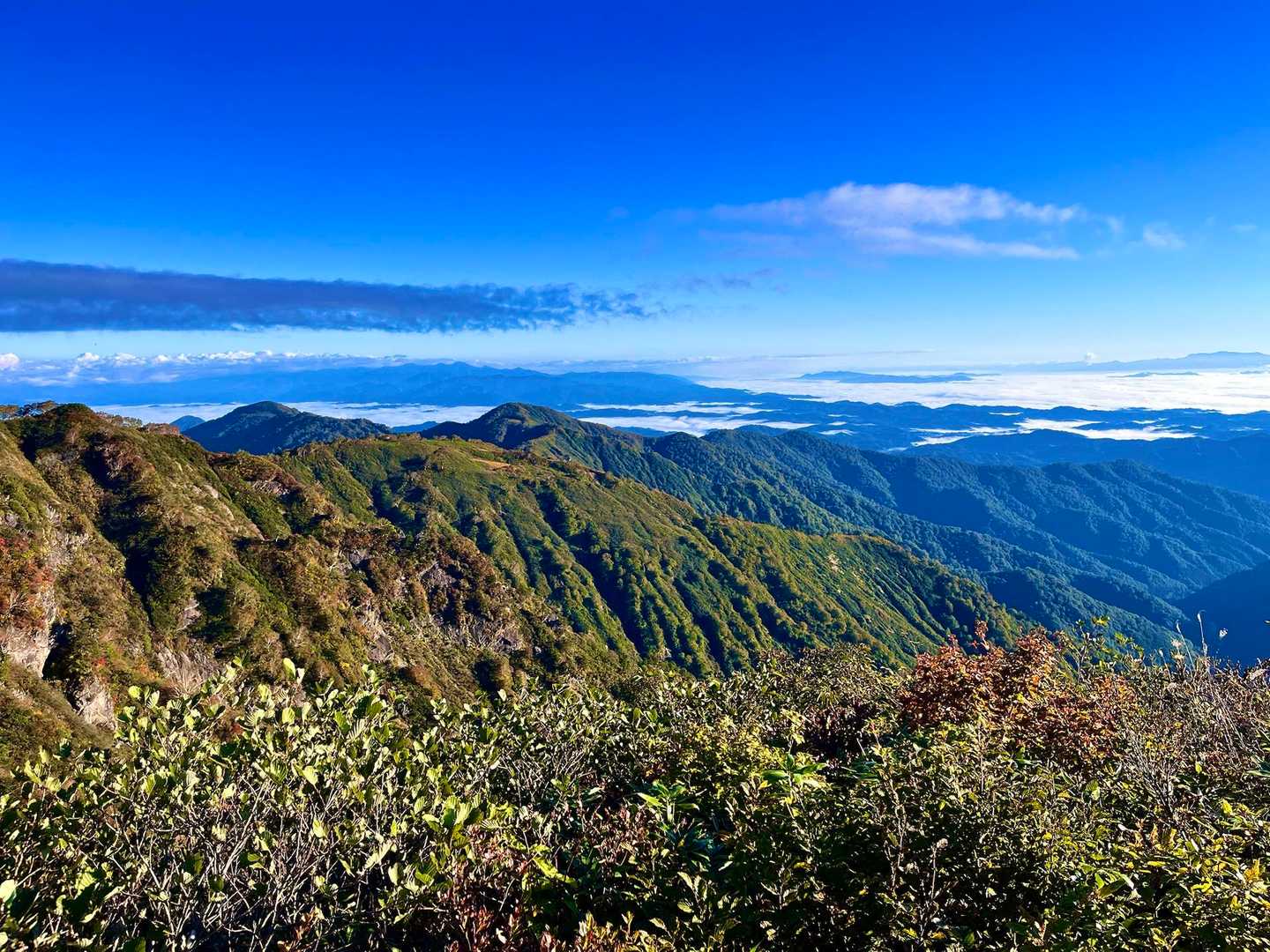 御沢登山口-横峰 縦走コースの写真