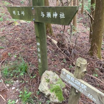 お隣は味気ない(´-ω-)