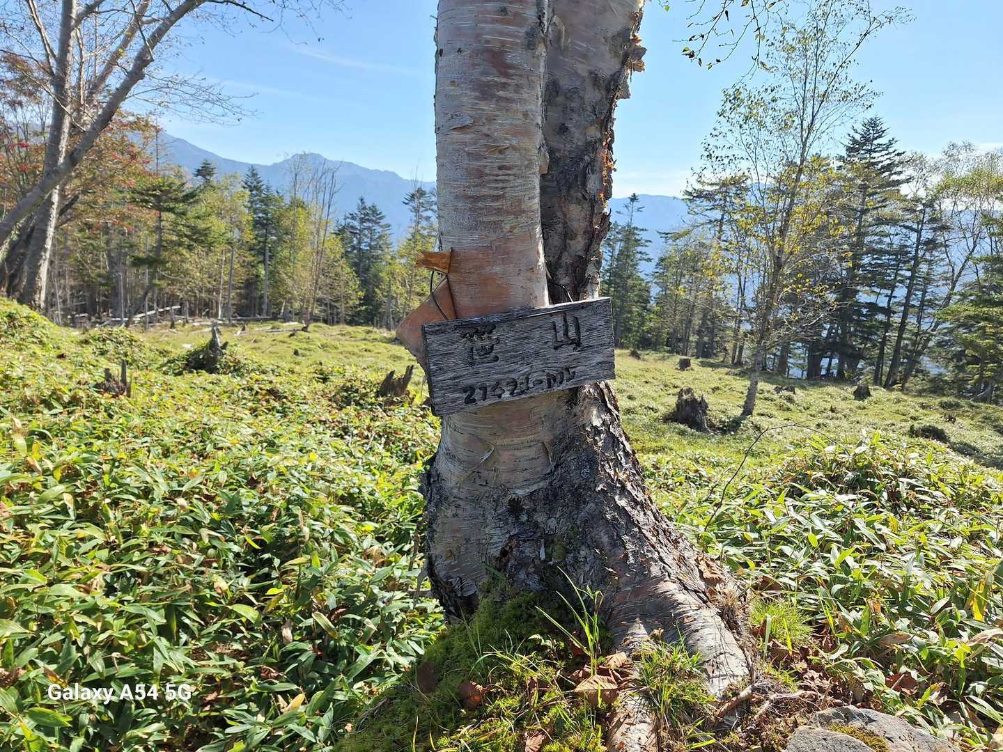 【笹山】到着です🎵
奥は南アルプス塩見岳あたりかな