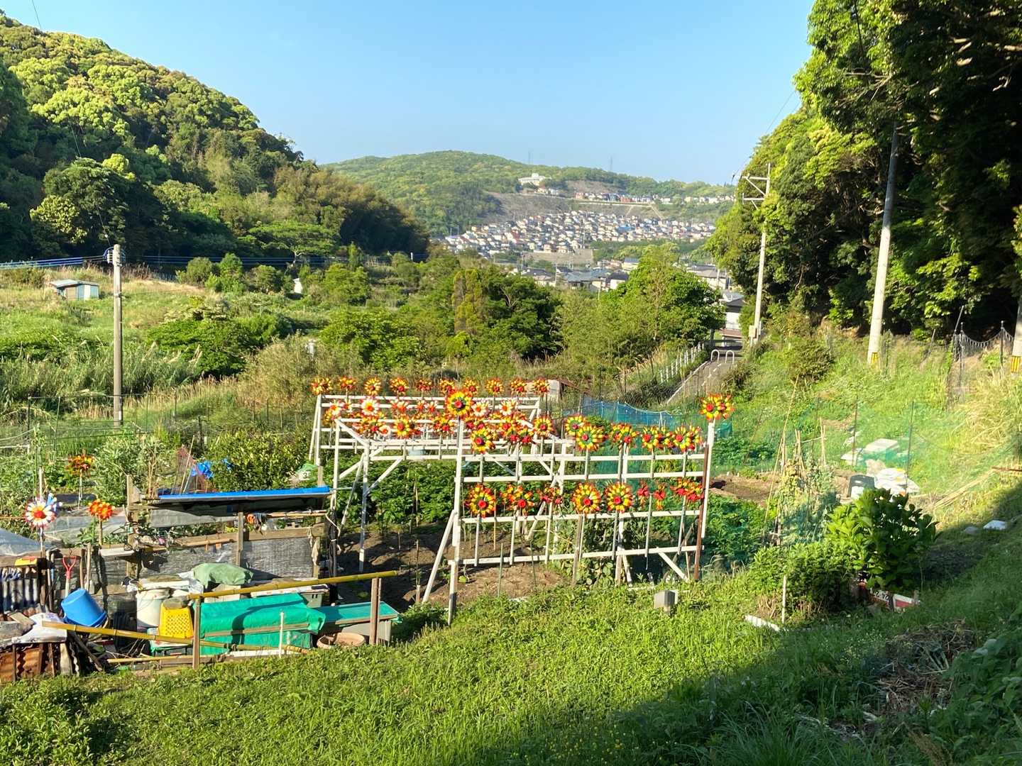 人気の山なのに、駐車場には１台も停まっていませんでした。しかし、下りてきた時には、道端まで全て埋まっていました。市民農園に来ている人も多かったようです。