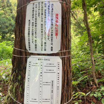 上級も初級もないんです
電車バスで登るなら
6月10日現在こっからしか行けないんです
それだけ