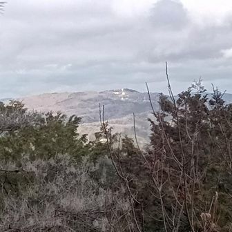 アップ
三王山の白っぽい大展望台が見えます😅