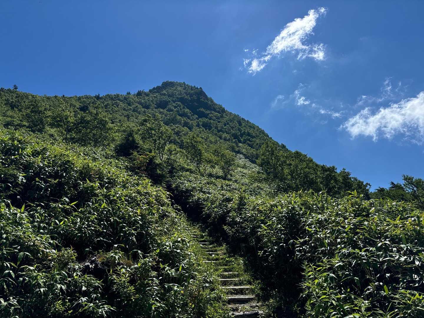 笠岳峠-笠ヶ岳 往復コースの写真
