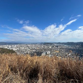 左側が高知市の中心部