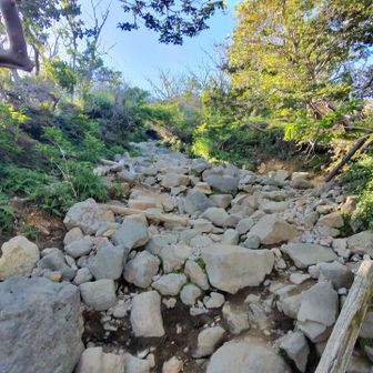 岩場の急登