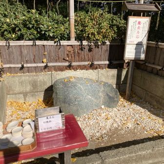 厄払い　皿を石にぶつけて割ります！
大山寺のかわらけ投げは届きそうもないのでここでやってみました