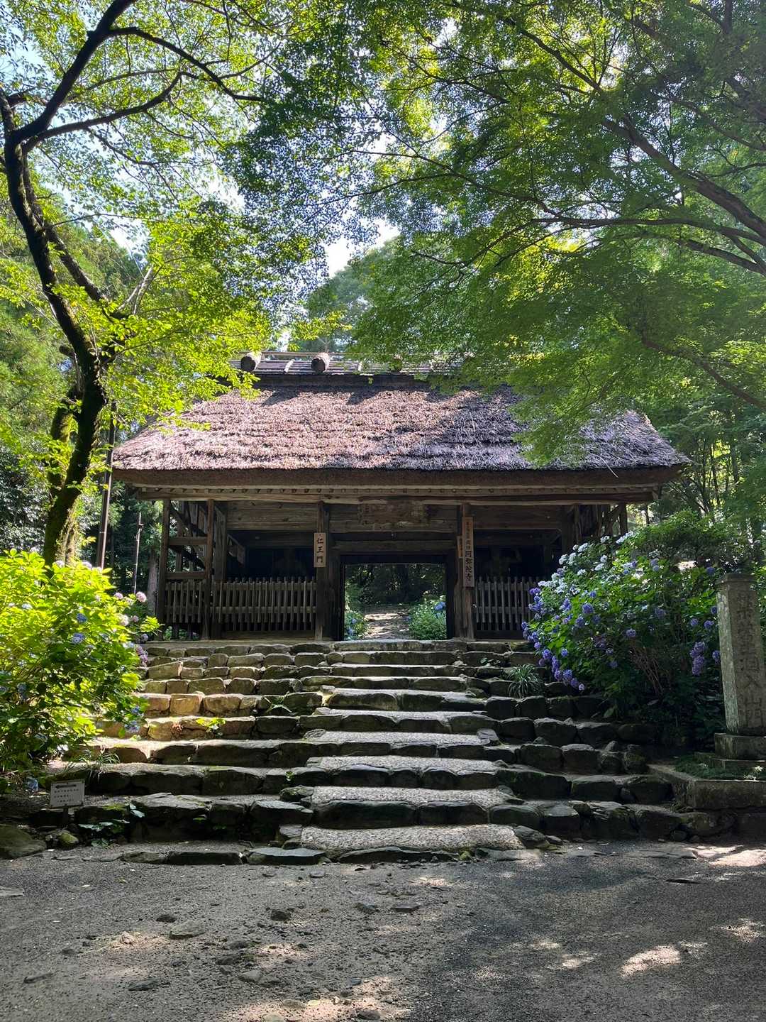 大平山登り口-大谷山取付き-大平山 往復コースの写真