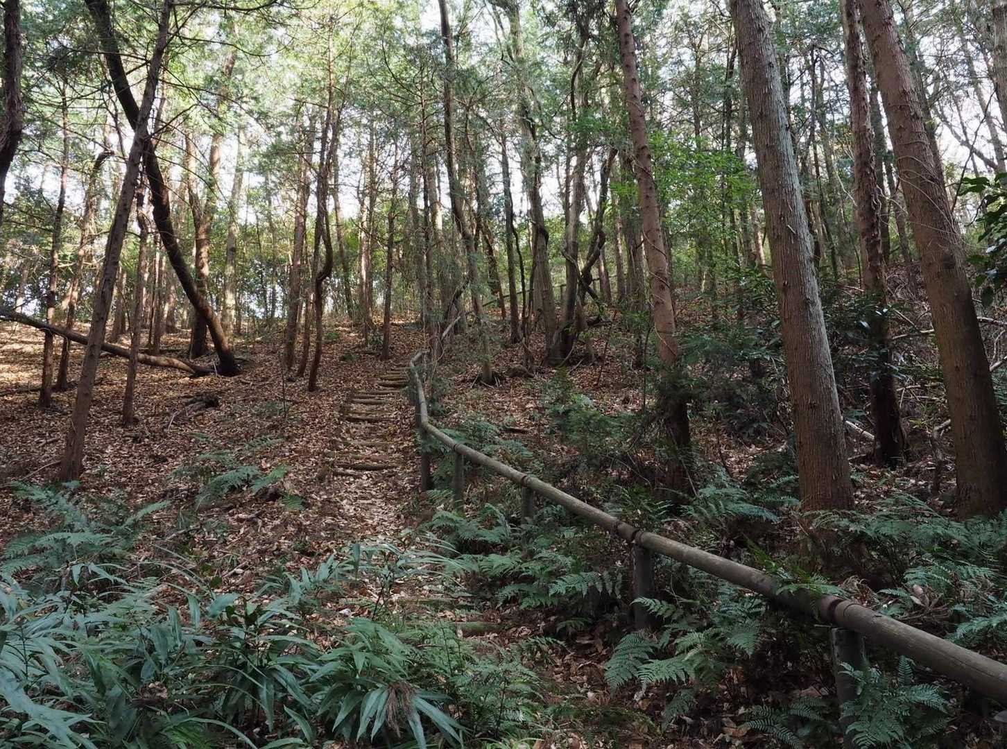 岩瀬駅-御嶽山-雨引山 往復コースの写真