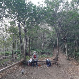 やはり離合できない林道を行くのね