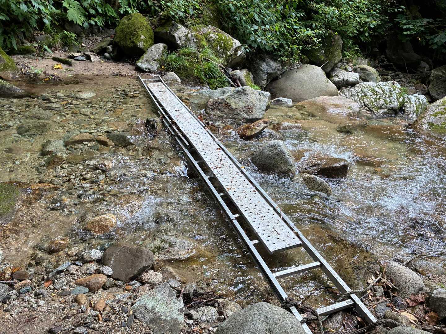 ハシゴ🪜🏞️
