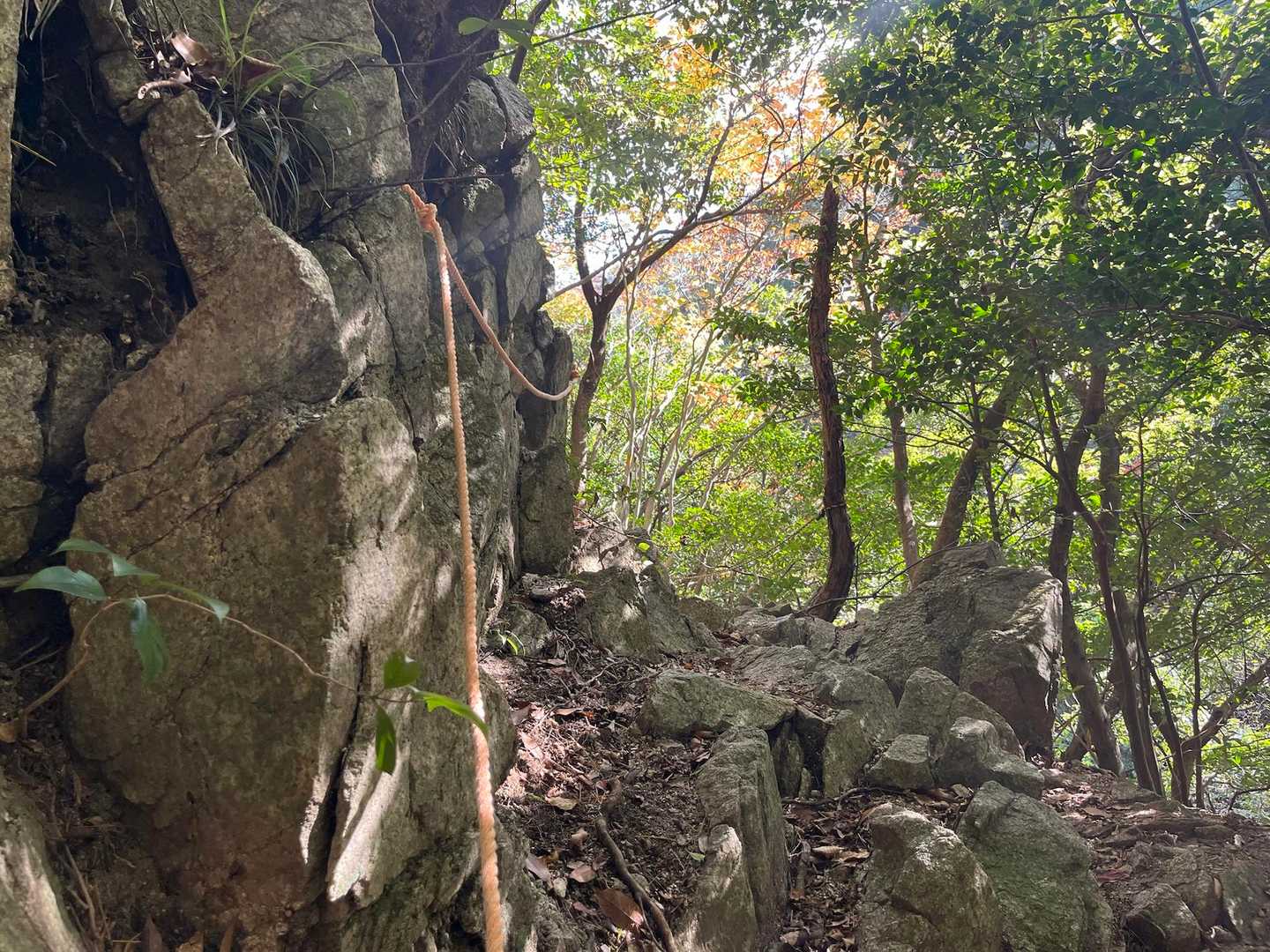 細道