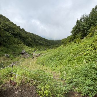 お花も少しまだ咲いてます