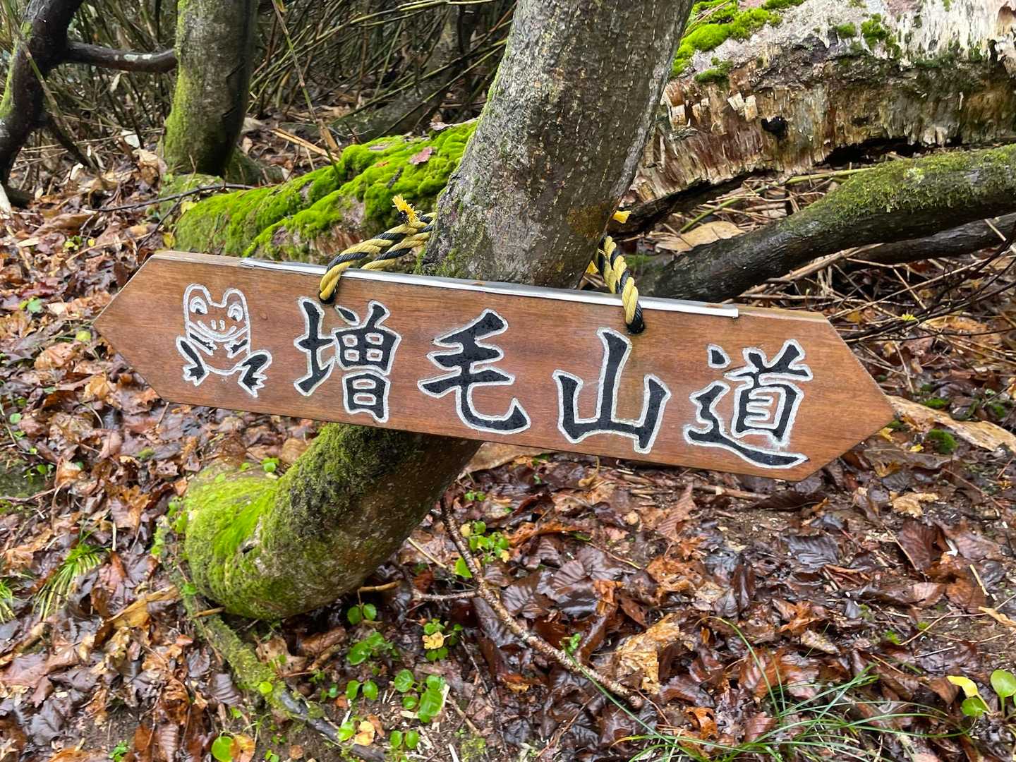 最初の標識は🐸