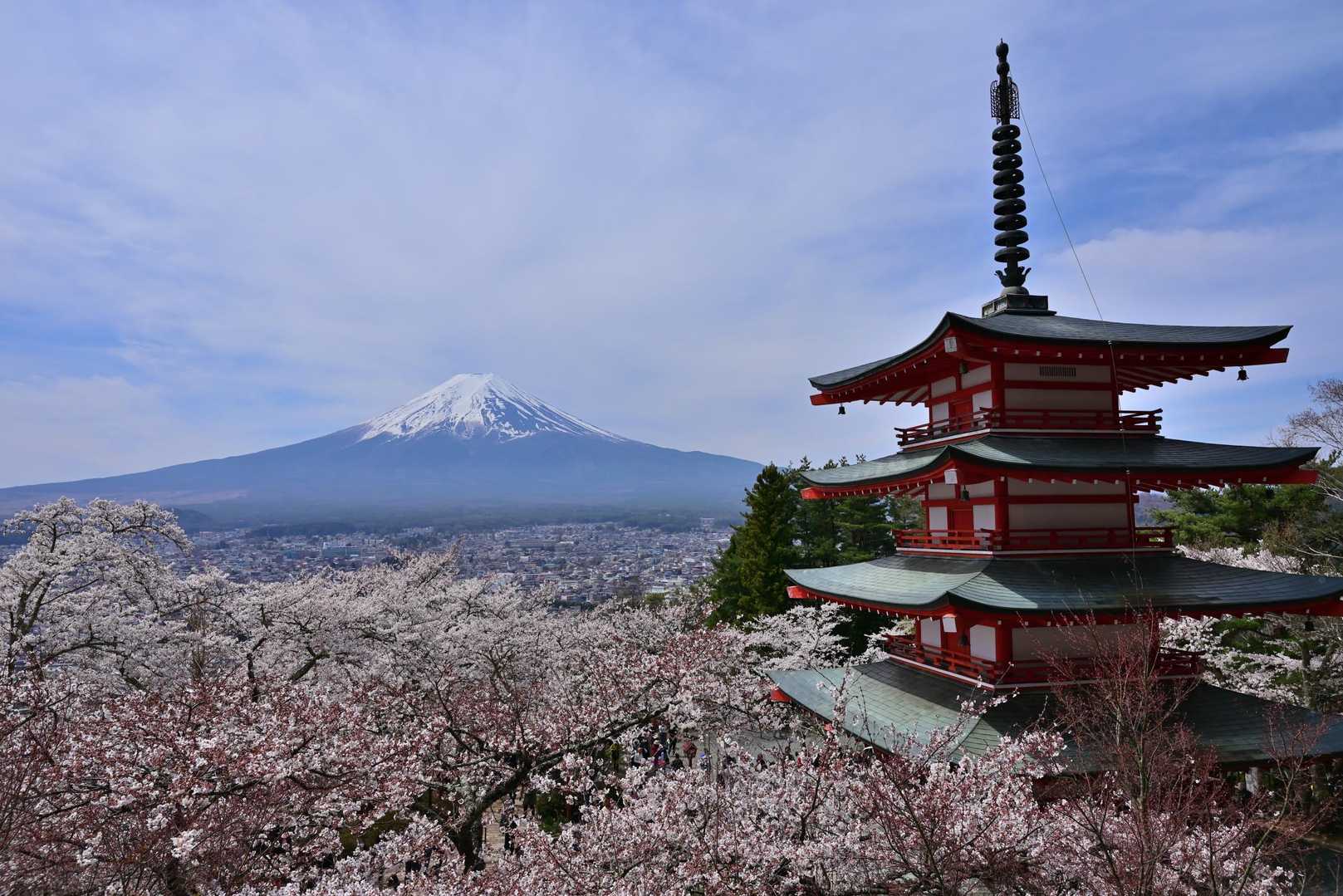 コテコテの景色😁