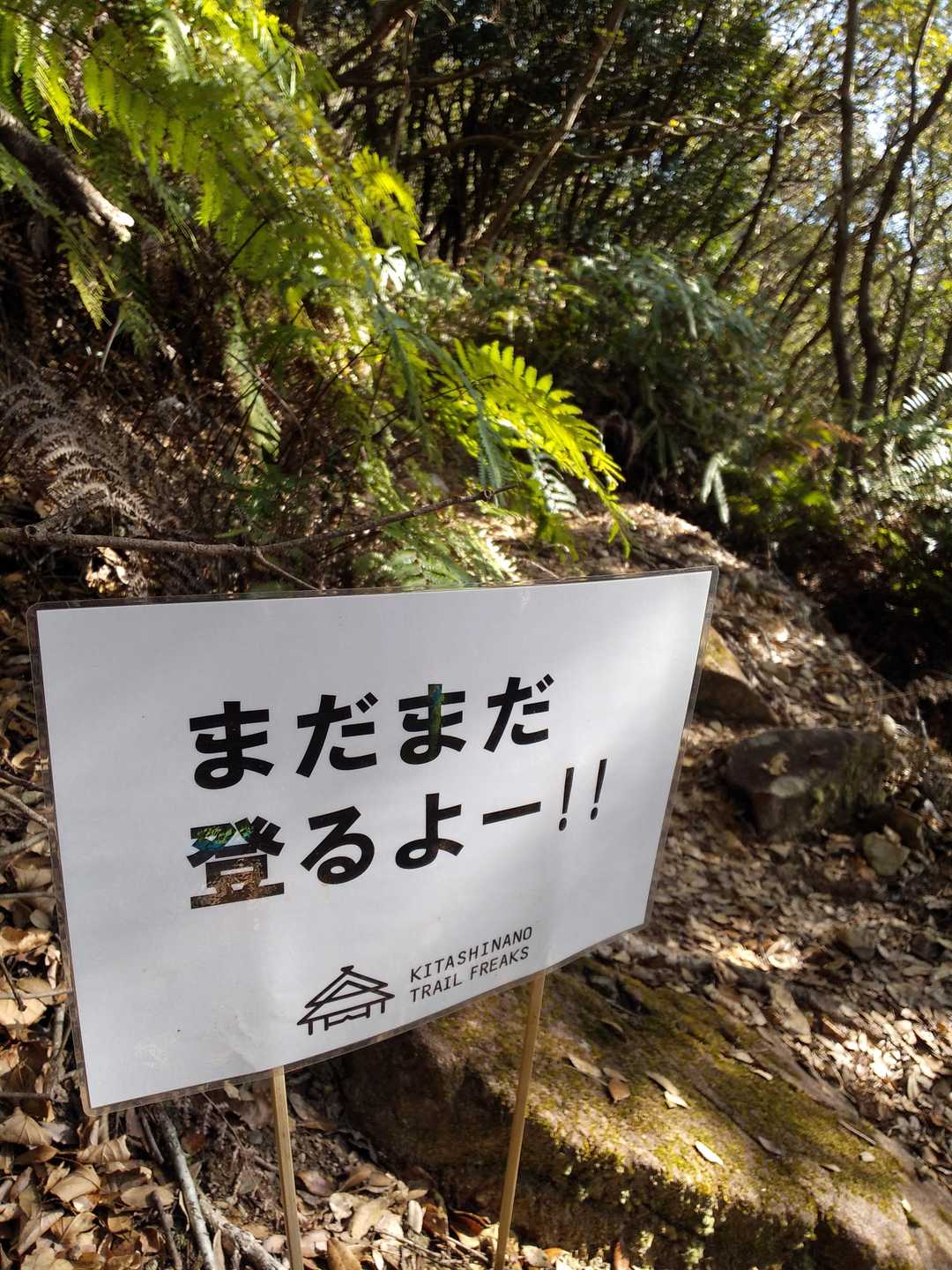 まだまだ～？🐷