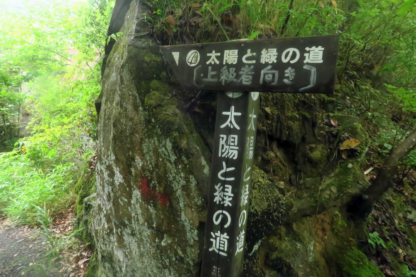 先ずは太陽と緑の道で鎌倉峡に行きます。