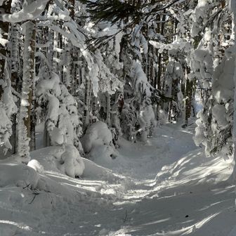 人もほとんどいないコースをチョイスして正解👍