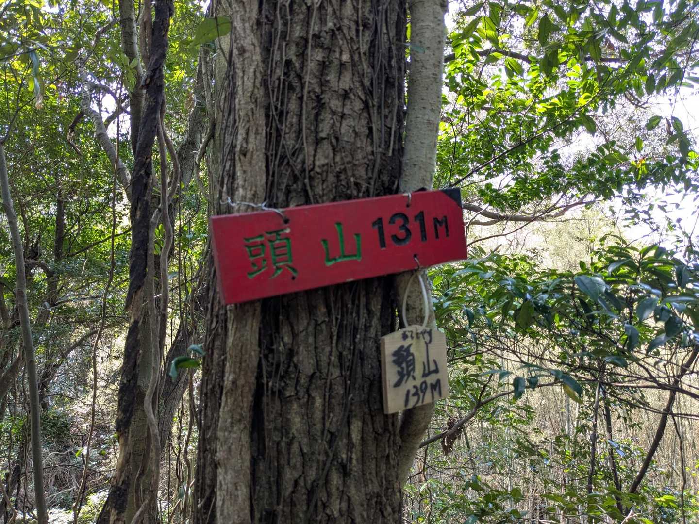 頭山
山神神社から薄い踏み跡を追いながら登りました

下山は帰りの船の時間が気になって適当に下ったら鉄柵に阻まれて降りられなくなり一旦上まで戻りました
急いでいてもスマホで位置を確認しなくては…💦