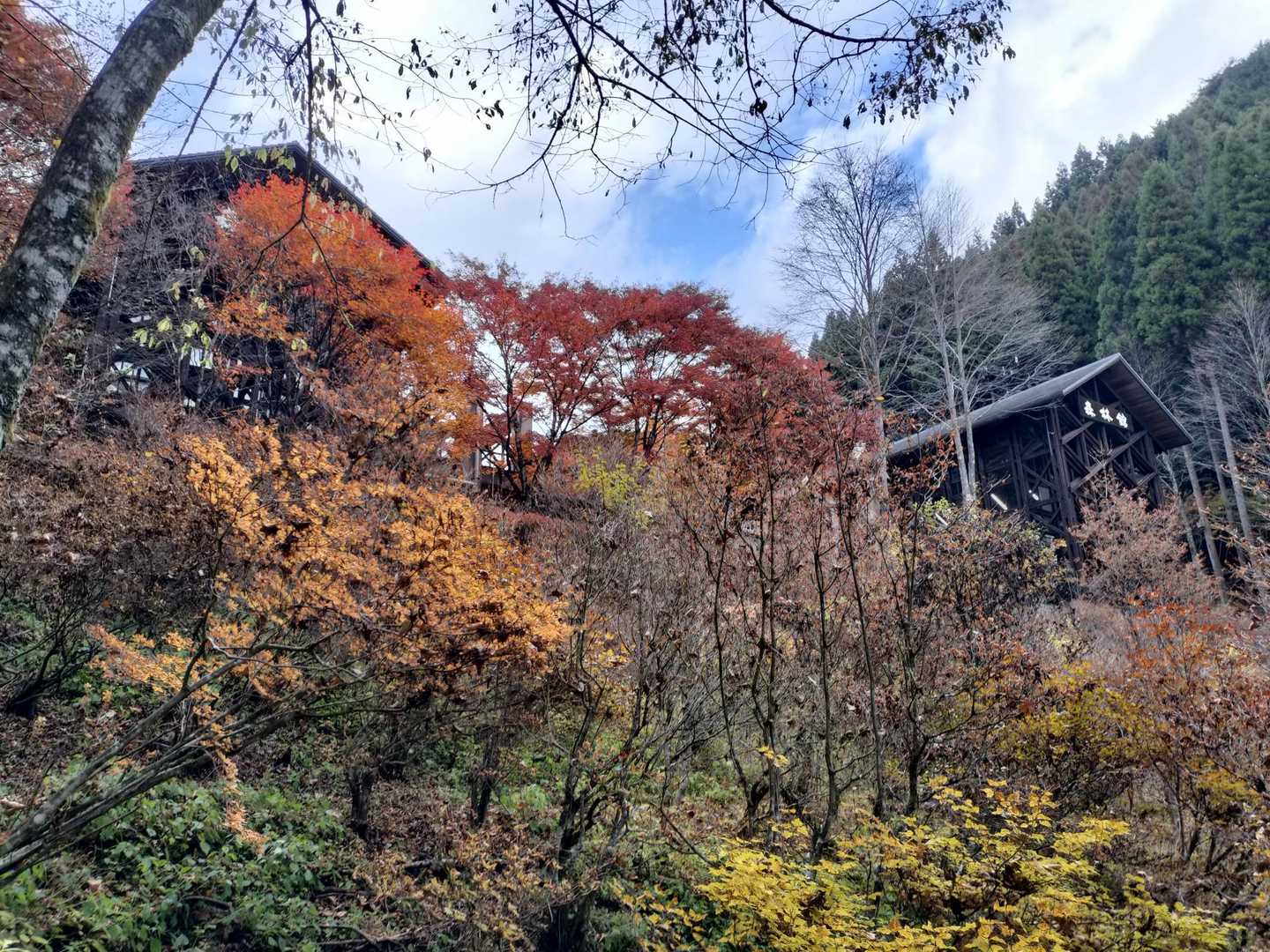 ここらへんの紅葉が素晴らしい。