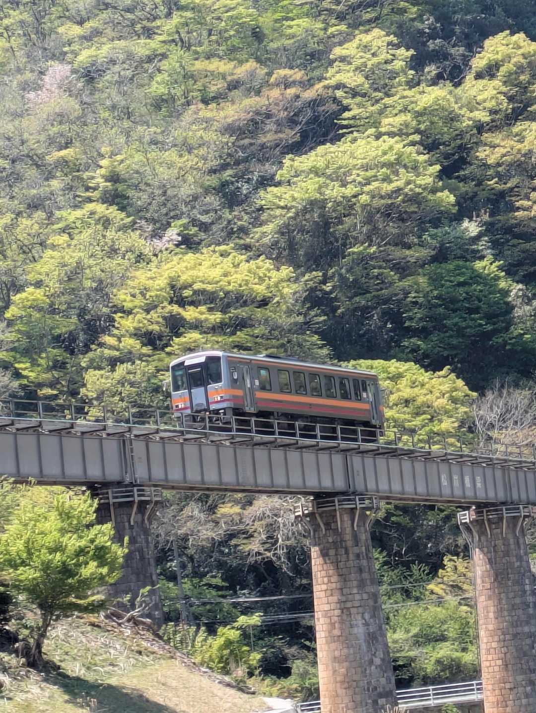 千磐神社-矢筈山登山口-矢筈山-美作河井駅-美作河井駅前バ 周回コースの写真