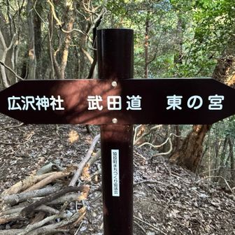 東の宮まで行けるハズなのになぁ