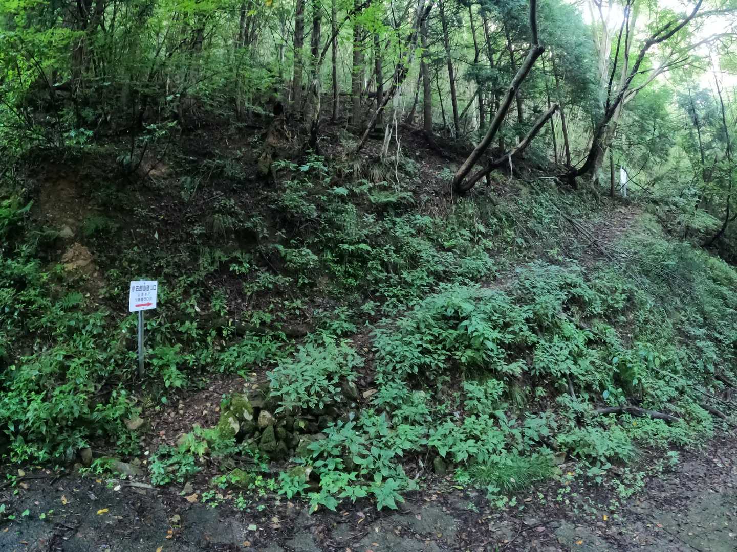 小五郎山登山口