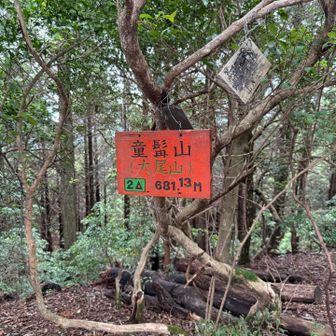 こちらの山名標も目に飛び込む色合い