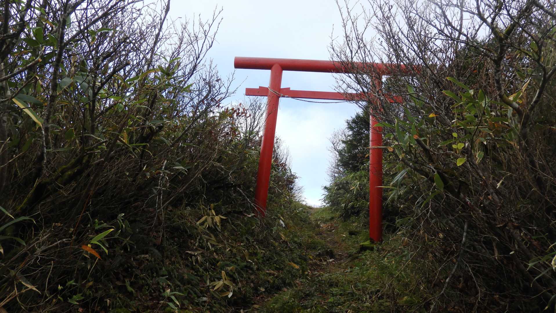 葉山登山口-畑登山口-休憩地-大僧森-葉山-葉山神社奥の院 周回コースの写真