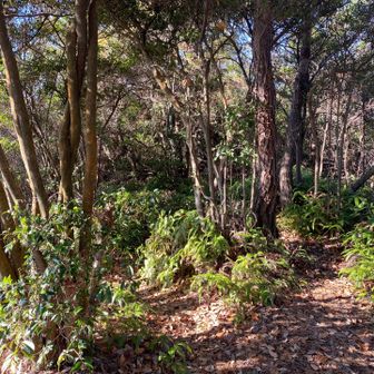 さっ戻りましょう