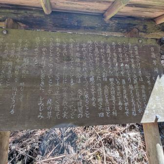 芋ヶ峠の説明書き
昔は往来が盛んだったのに寂れてしまったとの嘆きが書かれてます
興味がある人は拡大して読んでね😁