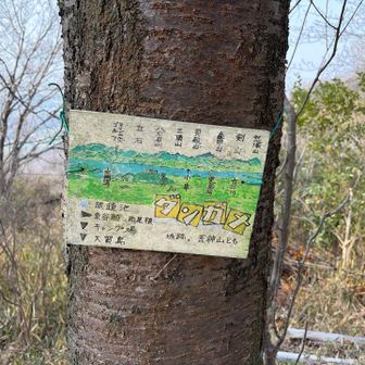 玉野アルプスの東側が一望できます。