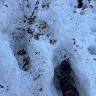 でもしまってるので踏み抜き無く
トレランシューズでトレース泥棒です