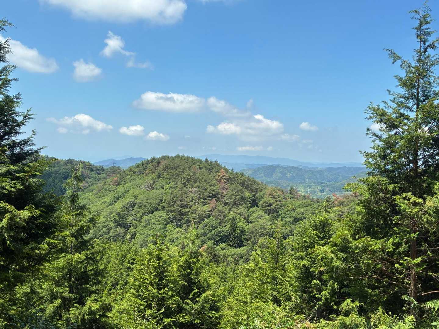 下山途中から
西側方面