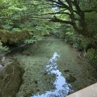 淀川避難小屋近くの川水がきれいです。