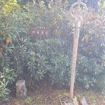 景色は？がっくり