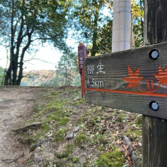 次は…私の故郷“柳生の里“に向かいます🏃‍♂️💨
（嘘です）