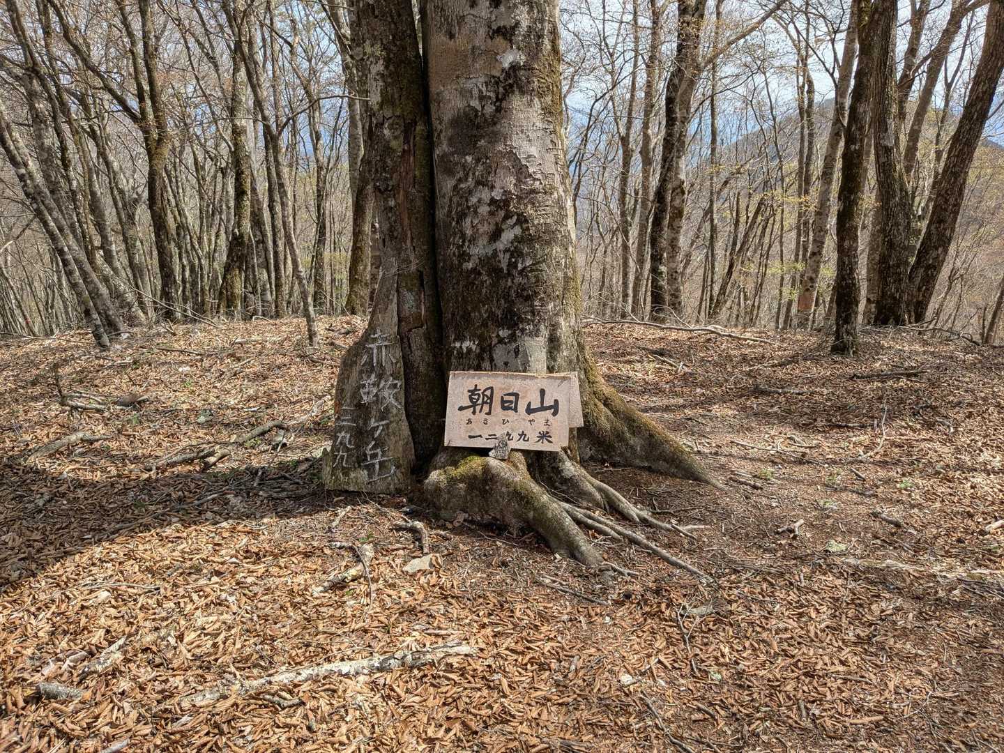 登頂！
赤鞍ヶ岳、朝日山
なぜ山名が2つある？🤔