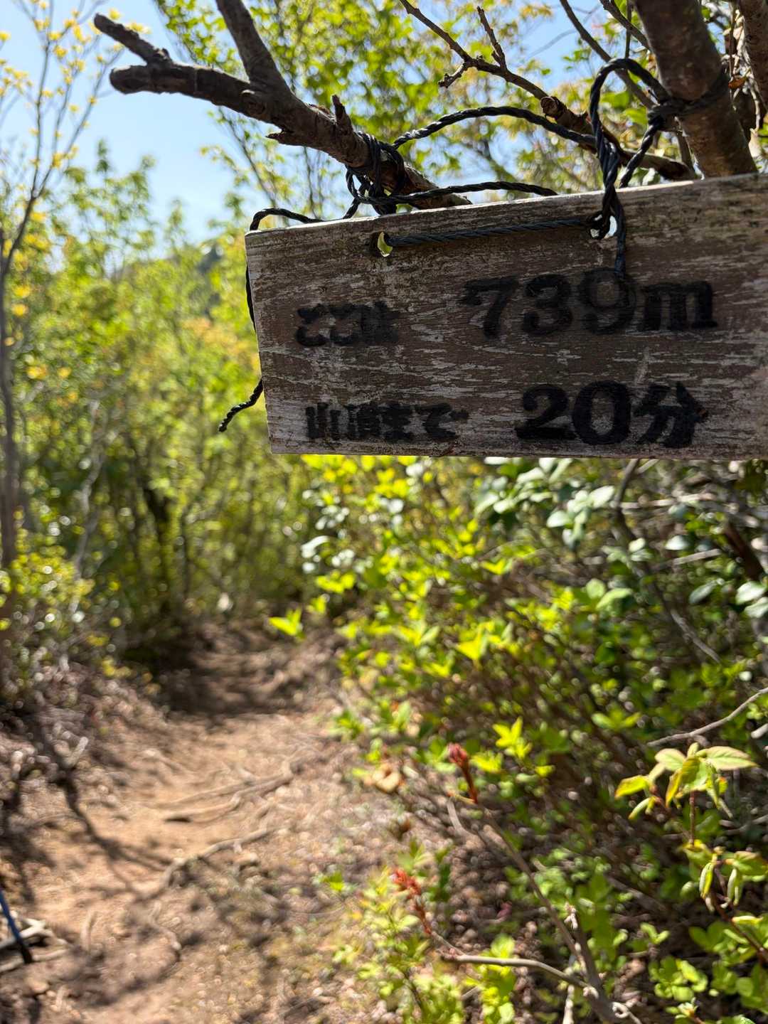 山頂まで２０分🚶‍♀️‍➡️頑張ろう