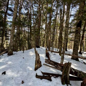 YAMAPには最高地点って書いてたけど、どこやw