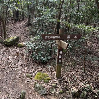 自然の家の道へ