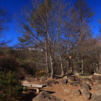 天女山とうちゃこ！