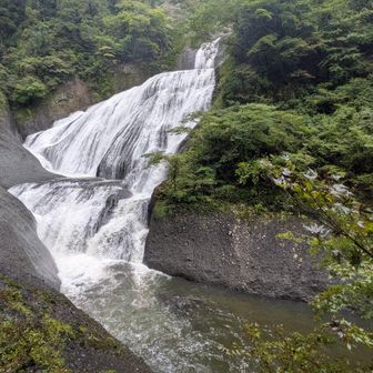 水量は多いですね、見事です。