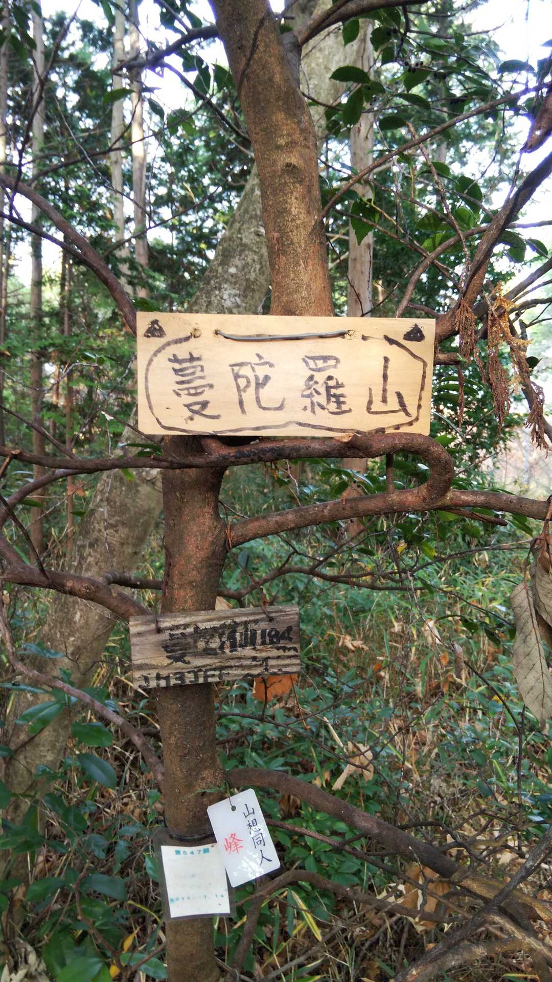 蔓陀羅山（滋賀・183m）| 登山ルート・天気 | YAMAP / ヤマップ
