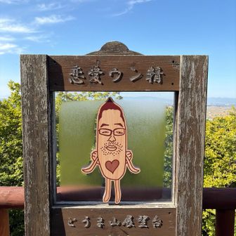 これを見に来た